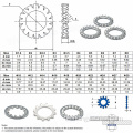 Din6798a gezackte externe Zahnscheibe Waschmaschine